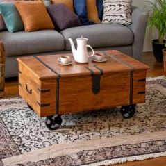 Coffee Table Trunk