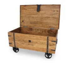 Coffee Table Trunk